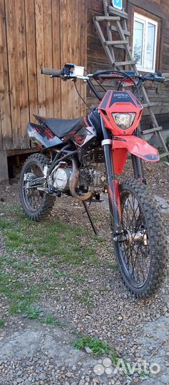 Regulmoto seven medalist pro