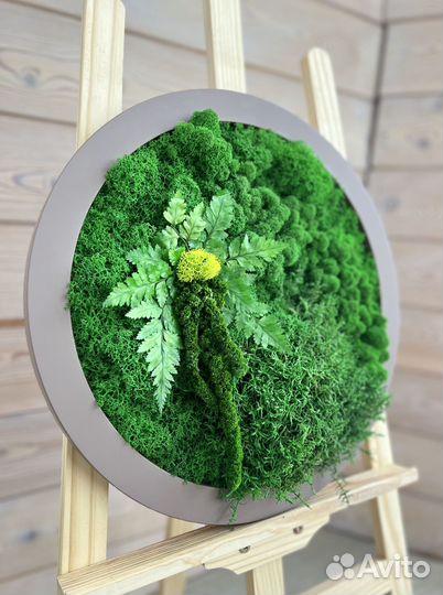 Панели из стабилизированного мха