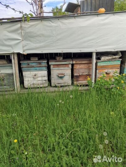 Ульи для пчел б/у