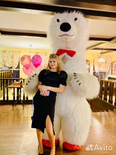 Белый Мишка Поздравление Белый Медведь на праздник