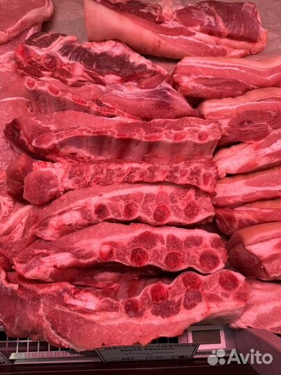 Свинина домашняя, мясо, грудинка, лопатка