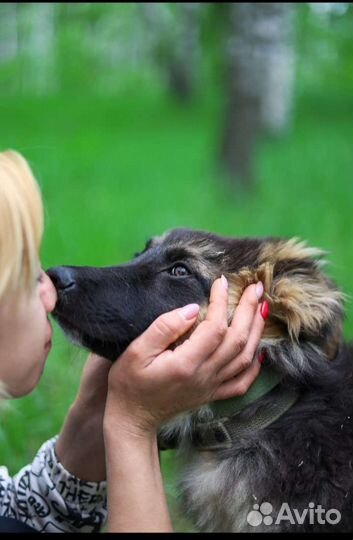 Малыш ждет маму