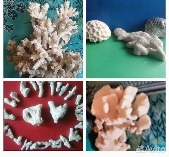 Раковин2хствор,Коралы,Блестящ,Отверстия,Камушки