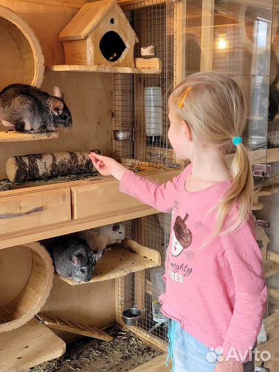 Мастер-класс