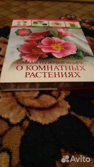 Книга все о комнатных растениях