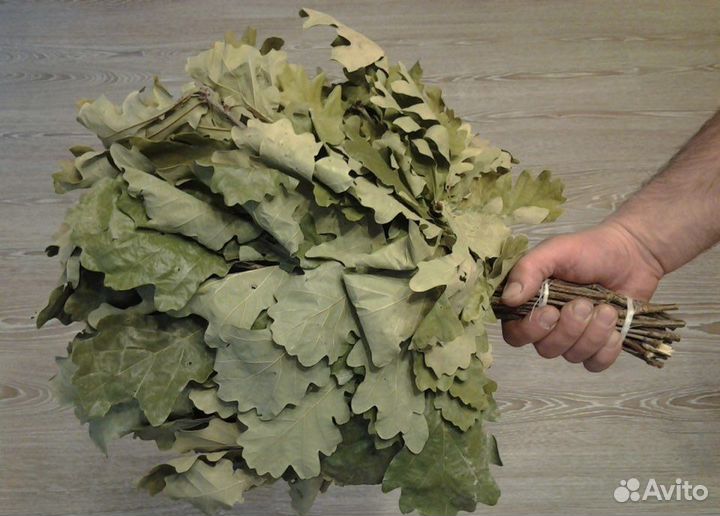 Дубовые веники для бани