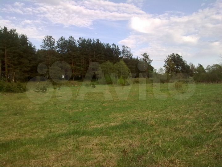 Участок 6 га (ИЖС)