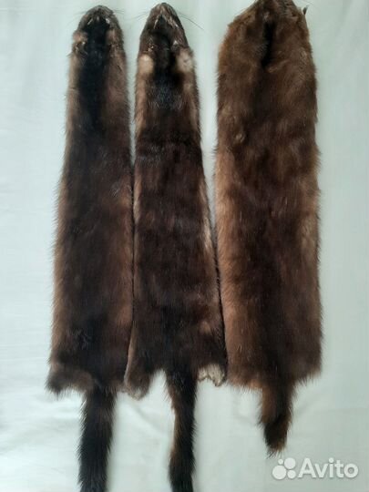Шкурки норки