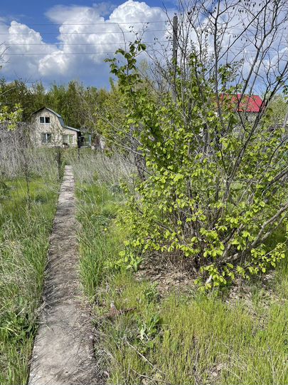 Участок 8 сот. (ИЖС)