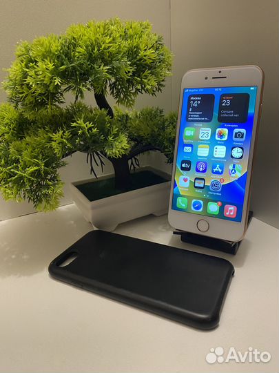 iPhone 8, 64 ГБ