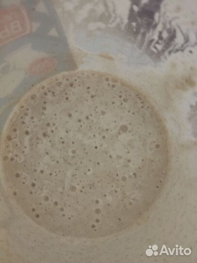 Бездрожжевая закваска