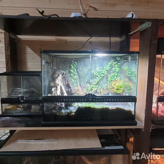 Террариум Exo Terra