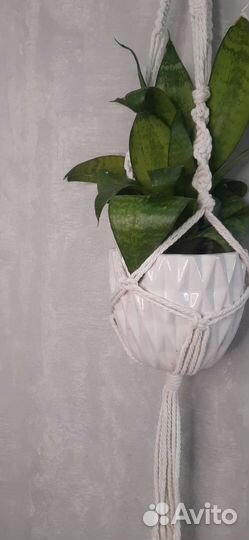 Кашпо подвесное макраме 