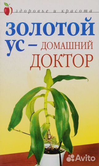 Золотой ус - домашний доктор