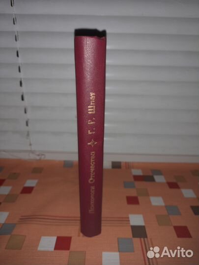 Густав Шпет. Психология социального бытия