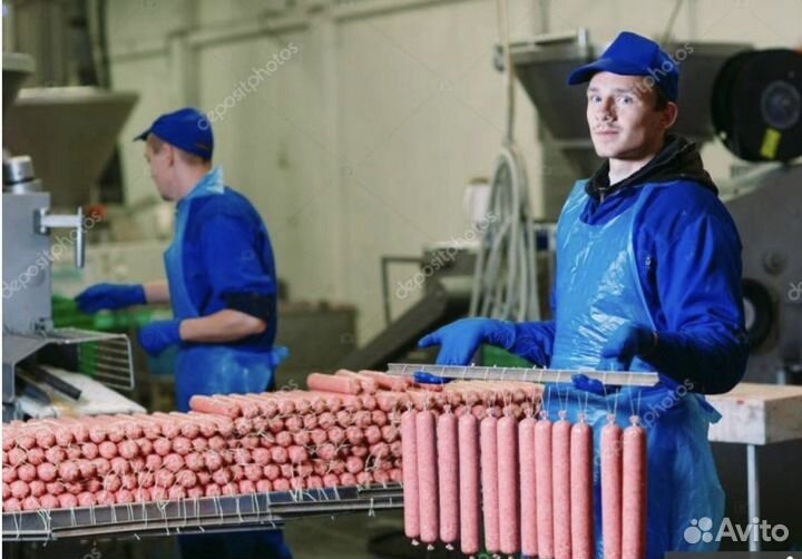 Грузчики оплата ежедневная