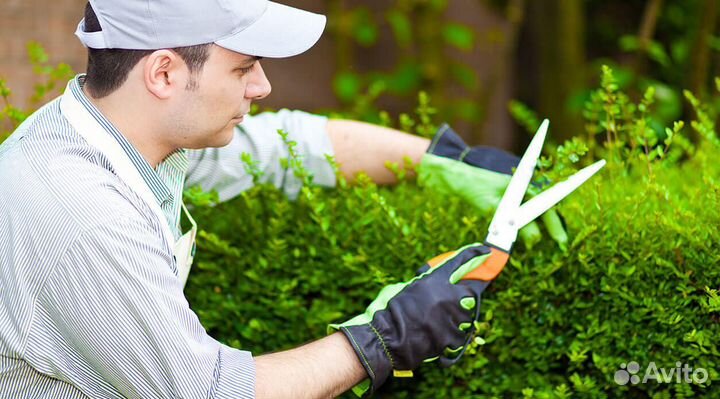 Рабочий зеленого хозяйства на пао 