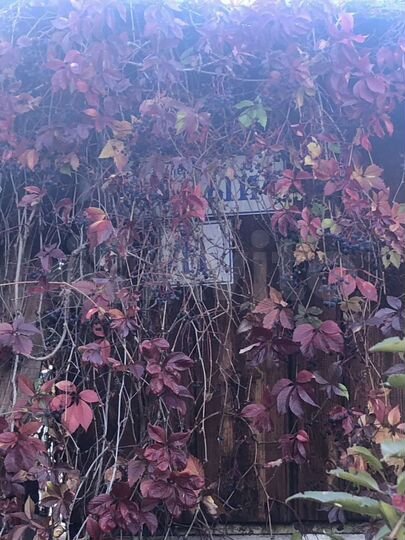 Дом 78 м² на участке 7 сот.