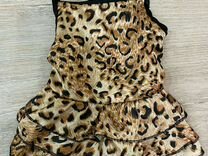 Платье леопардовое для мелкой собачки