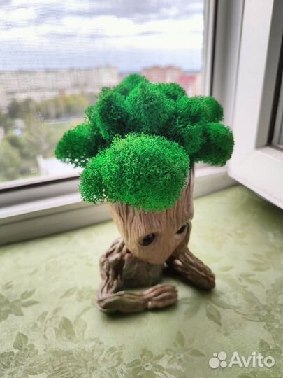 Грунт, кашпо, декор для интерьера, в подарок