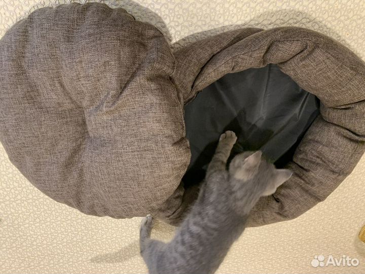 Лежанка для животных