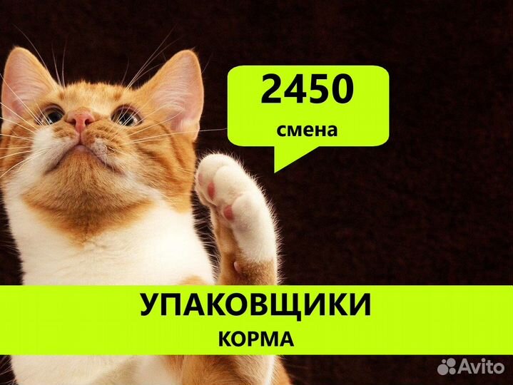 Упаковщик / Упаковщица, проживание, авансы, премии