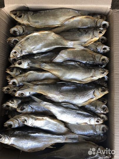 Рыба / от производитель