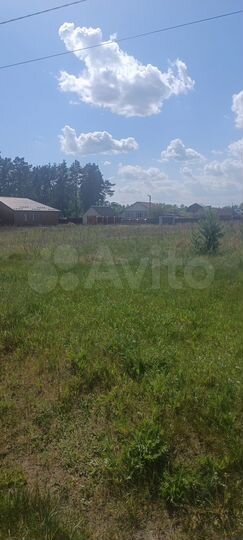 Участок 19,5 сот. (ИЖС)