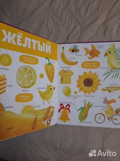 Новые детские книги для малышей. Clever