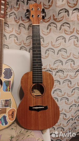 Укулеле концентр