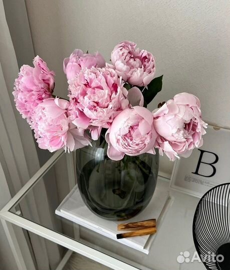 Пионы с бесплатной доставкой