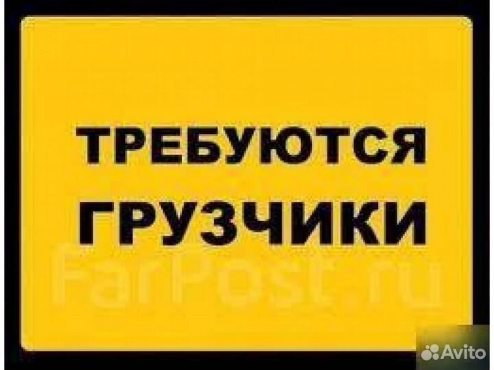 Грузчики на склад