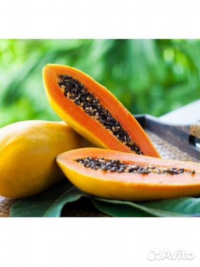 Папайя плодоносящая, экзотическое растение