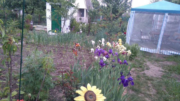 Дача 72,2 м² на участке 5 сот.