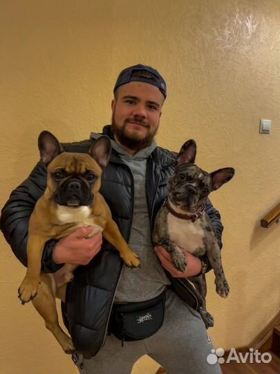 Передержка собак, гостиница для собак,зоогостиница