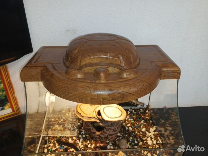 Террариум для черепахи