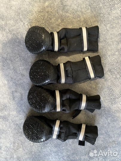 Обувь для собак