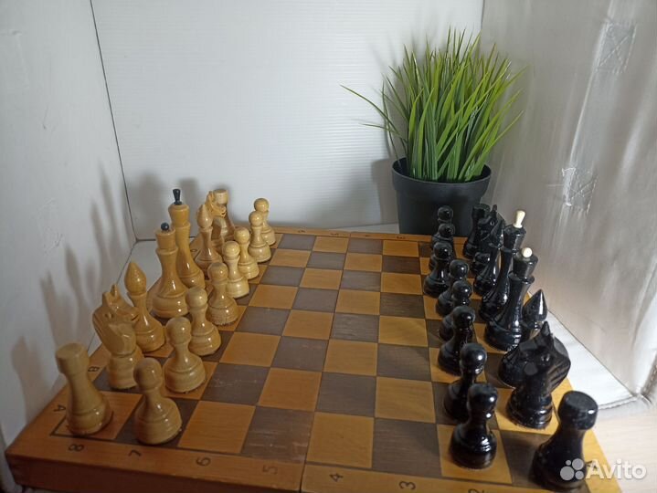 Шахматы СССР 1980