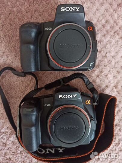 Sony R1, A100 кит, A200 kit