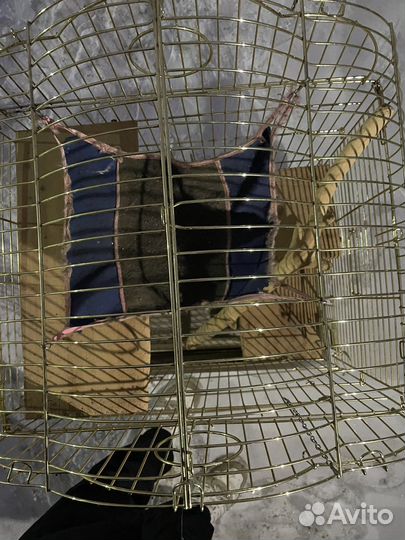 Клетка для шиншил