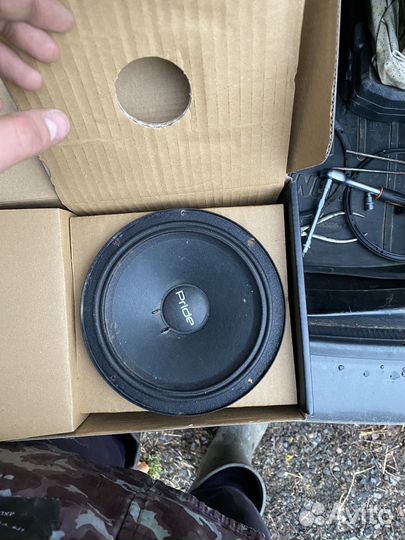 Динамики 16 pride