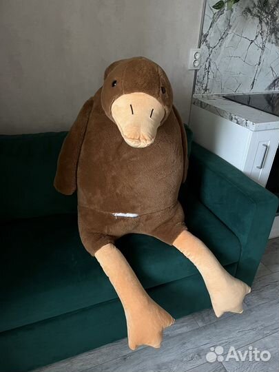 Гусь обнимусь