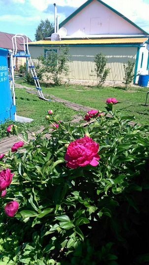 Дом 65,9 м² на участке 37 сот.