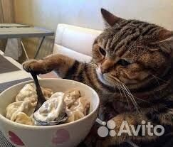 Сборщик вареников с картошкой, удобный график