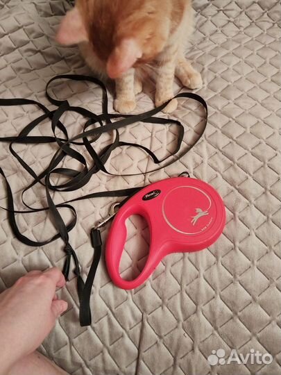 Рулетка для собак flexi на запчасти