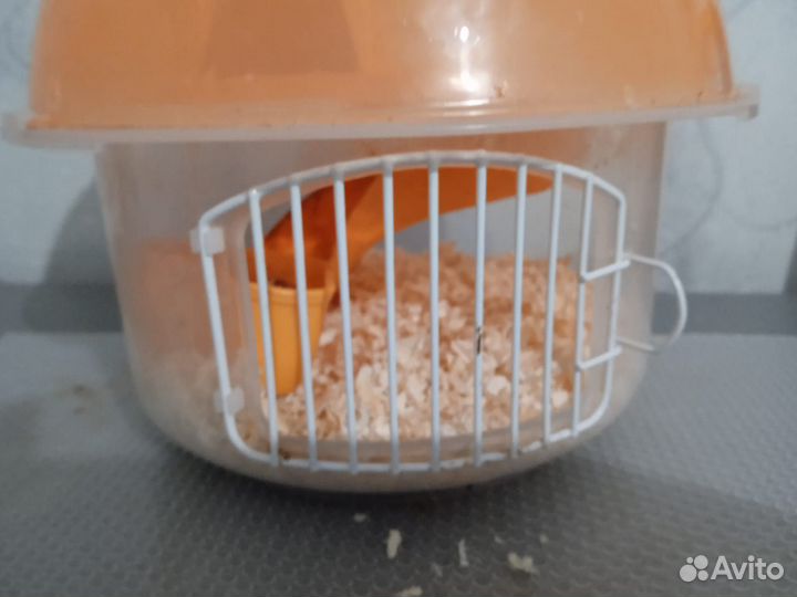 Клетка для хомяка