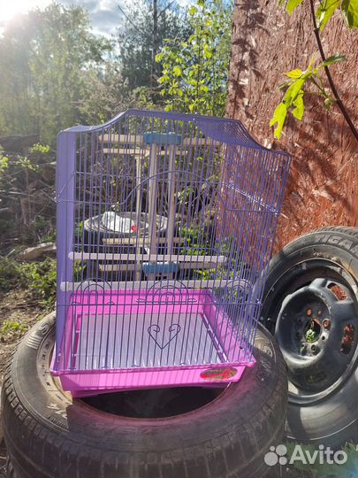 Клетка для грызунов или попугаев
