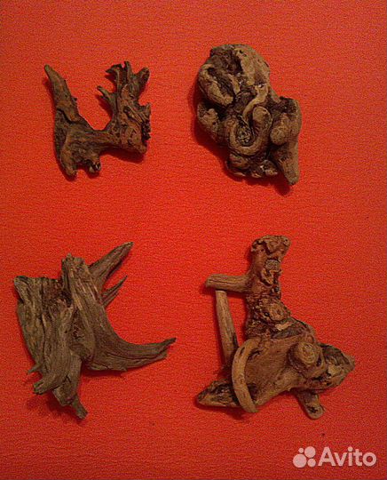 Коряжки дрифтвуд морские