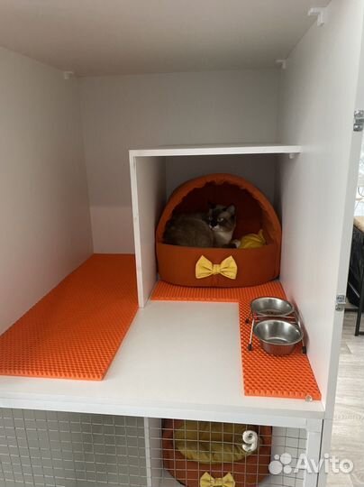 Мини-Зоогостиница-Передержка