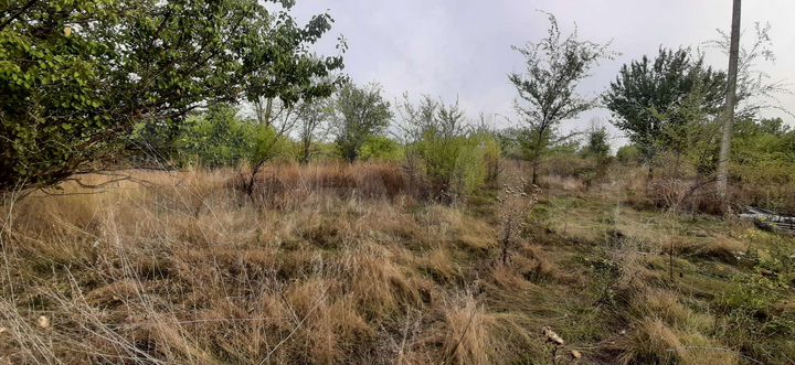 Участок 10 сот. (СНТ, ДНП)